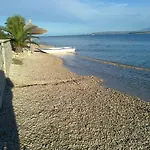 Pavlic *